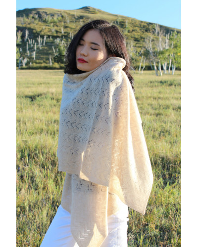 châle haut de gamme en pur cachemire